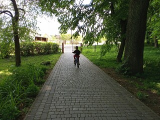 A child rides a bicycle on a cobblestone sidewalk. A six-year-old boy rides a bicycle in a park under flooded trees.