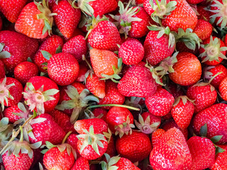 Strawberry. Fresh organic berries. Close-up. Fruit background. Healthy eating concept