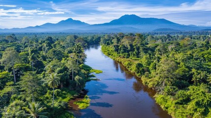 Fototapeta na wymiar an aerial view showcasing a flowing river amidst lush tropical rainforest, flanked by verdant green mountains under a vast sky, presenting a serene landscape panorama.