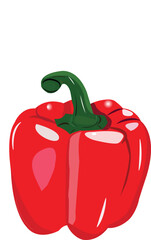 capsicum vegitable illustration picture 