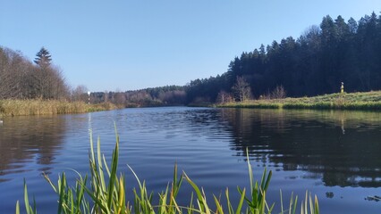 A mixed forest grows on the grassy banks of the river. There is a sign of a ship's passage. There are ripples on the water. The leaves have fallen from the trees. There are reeds growing in the water.