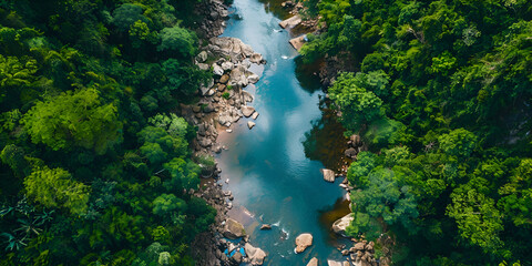 A Breathtaking Landscape with a Beautiful River running with Charming Air and Lush green forest Trees around the river,