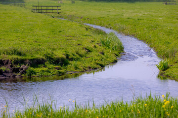 Spring landscape with flat and low land and green meadow, Typical Dutch polder with wooden fence in the lawn, Small canal or ditch on the grass field, Noord Holland, Countryside of Netherlands.