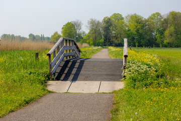 Spring landscape, Typical Dutch polder with wooden bride, Green meadow with wild flowers, Small canal or ditch and grass field, Ouderkerk aan de Amstel, Amsterdam, Countryside of the Netherlands.
