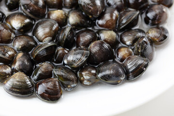 Shijimi shell fish  (Corbicula japonica), a saltwater clam commonly used in miso soup, and nutrient supplimets. Also know by the names, Japanese river clams, Japanese basket clam, Japanese blue clam