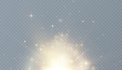 Bokeh light effect with many shiny shimmering particles isolated on a transparent background. Shine. Vector star cloud with dust. 10 EPS