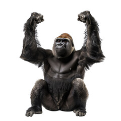 Fototapeta premium Strong and majestic, the gorilla is one of the most powerful animals in the jungle.