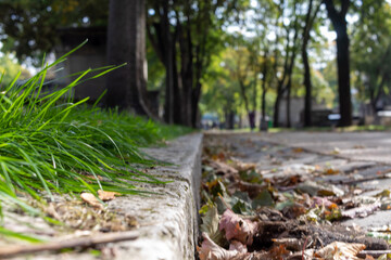 road in the park