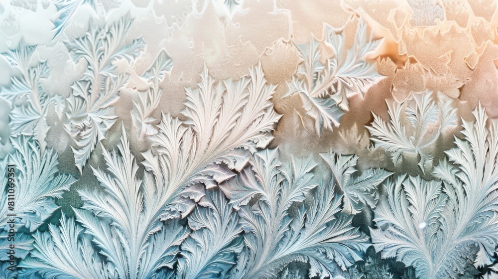 Poster Intricate frost patterns resembling feathers and ferns spread across a glass pane in the soft morning light.