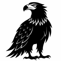 Fototapeta premium eagle isolated on white