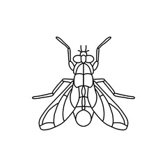 fly insect outline icon.fly line art vector illustration. Doodle line graphic design. Black and white drawing insect.