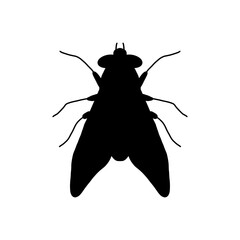 flt silhouette vector illustration. Fly vector icon isolated on white background. Flat vector fly icon symbol sign from modern animals collection for mobile concept and web apps design