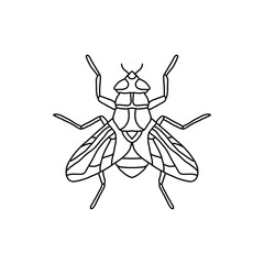 fly insect outline icon.fly line art vector illustration. Doodle line graphic design. Black and white drawing insect.