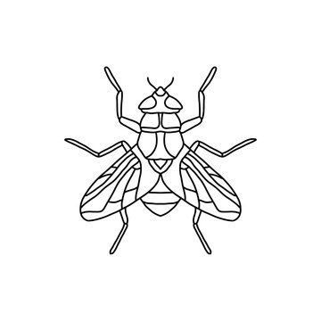 recommend clip art: fly insect outline icon.fly line art vector illustration. Doodle line graphic design. Black and white drawing insect.