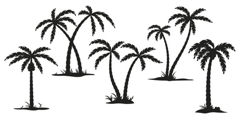 Set of palm silhouettes. Vector set of palm trees.