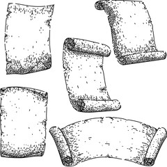 scroll paper set hand drawn. parchment papyrus, vintage texture, sheet manuscript scroll paper vector sketch. isolated black illustration