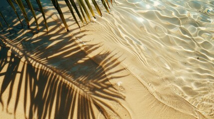Top view of the shadow of palm leaves on the seashore. Summer beach concept.