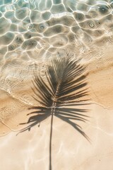 Top view of tropical leaf shadow on water surface and sandy beach.