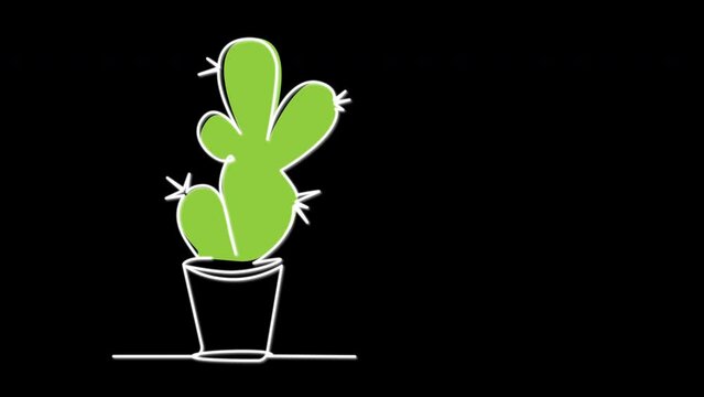 Cactus potted plant self drawing animation. Green cactus animated on black background.