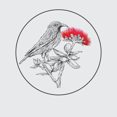 hand drawn lehua bird and flower sketch in engraving style Vector Illustration