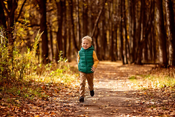 Little boy running in the autumn forest. Happy child having fun outdoors.