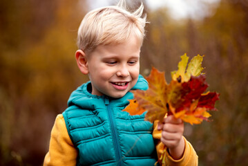 Portrait of a cute little boy with autumn leaves in the park