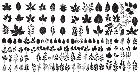 Fototapeta premium Vector Fern. Bamboo Branch. Leaf Set. Tropical Leaves Silhouette. Oak Leaves. Bracken Branch Shape. Jungle Flora Collection on White Background. Vector illustration.