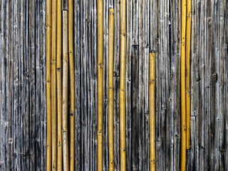 Floor made with old and new reed stems. Bamboo fence background.  .Background of reed. Traditional...