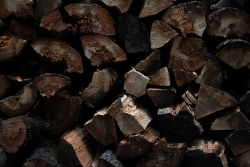 Rustic Wood Collection: Cozy Firewood Scenes and Natural Timber Textures