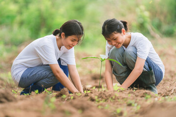 Two young girls are planting a tree together