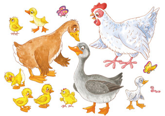 Ugly duckling. Fairy tale. Coloring page. Coloring book. Illustration for children. Cute and funny cartoon characters