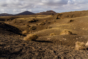 Trail around Cuervo volcano. 