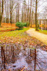A serene path curves along the lakeside amid colorful autumn leaves in Rhododendron Park, Kromlau, Germany.