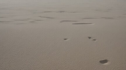 White sand texture background