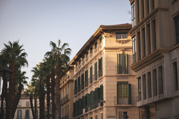 Malaga city centre historical buildings with palm trees
