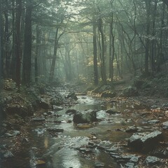 Mystic Light in Aokigahara Forest, Japan - Tranquil Stream and Lush Woods on a Foggy Morning
