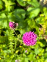 The view of the mountain background