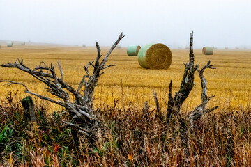 Rocky View County, Alberta, Canada