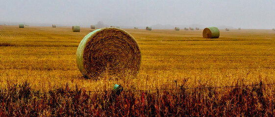 Rocky View County, Alberta, Canada