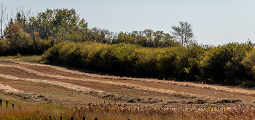 Scenes from around Rocky View County, Alberta Canada