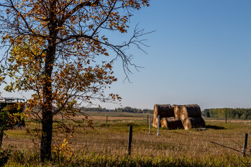 Scenes from around Rocky View County, Alberta Canada