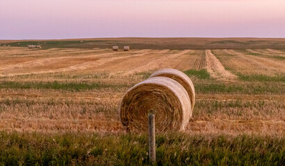 Scenes from around Rocky View County, Alberta Canada