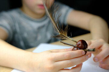 boy holds tree branches, chestnut, tools, child make chestnut man, handmade crafts from improvised...