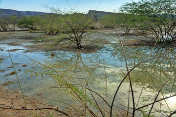 Hydrology, lymnology. An hyetal ephemeral lakes (evanescent like) and puddles in desert after...