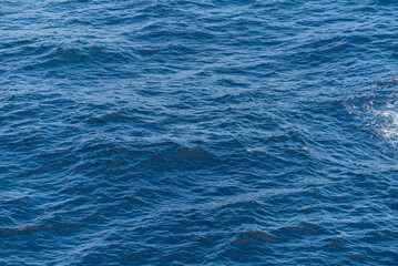 Beautiful photo of the sea waves