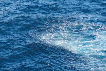 Beautiful photo of the sea waves