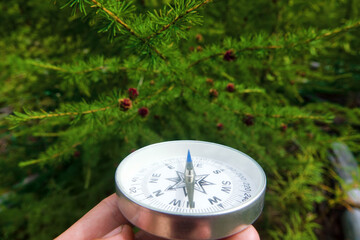 The right compass is always needed for travelers, adequate course. Taiga (boreal forest). Larch...