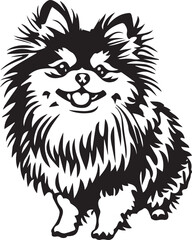 illustration of lovely pomeranian spitz dog