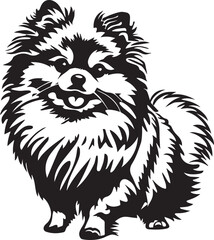Obraz premium vector illustration of pomeranian spitz dog silhouette