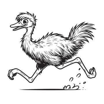 recommend clip art: Line art of Emu bird running cartoon vector